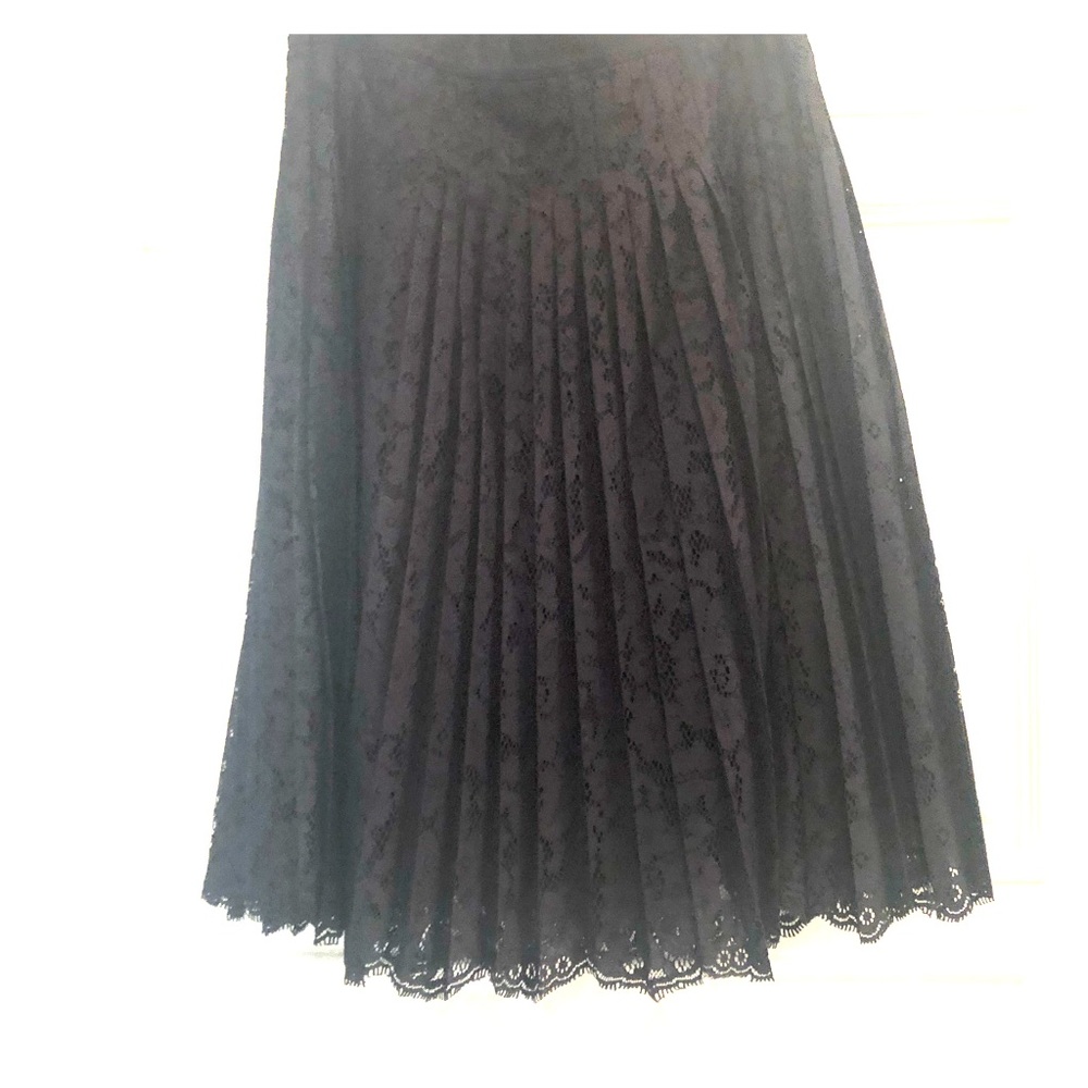 NWT Ann Taylor Nagy Lace A-Line Skirt